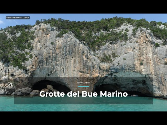 Grotte del Bue Marino VR360