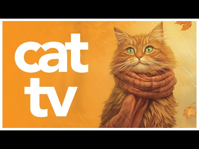 Cat TV: 3 Hours of Exotic Birds and Relaxing Nature Scenes