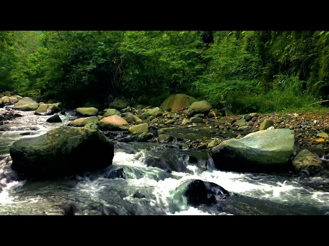 Soothing Stream Ambience: Relaxing Waterfall Sounds For Deep Relaxation