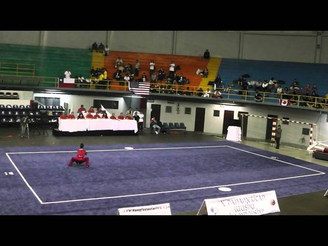 10th Pan American Wushu Championships Women's Nanquan - 3rd Set - Jessica Shyy (Silver)