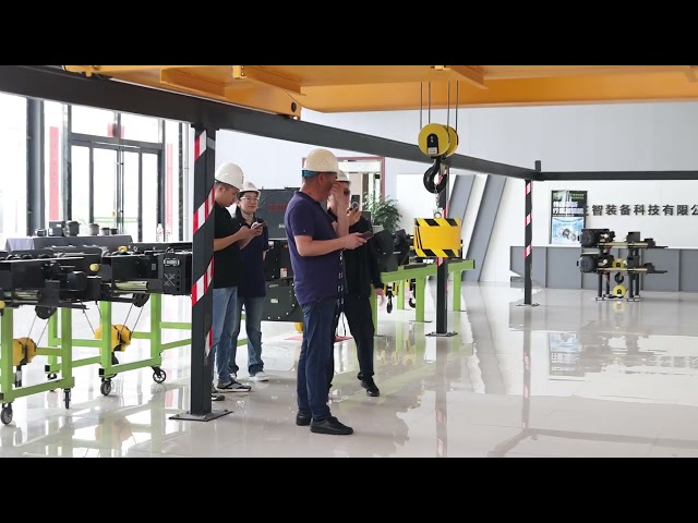 Precision Hoisting with Stability: FEM Electric Hoist Overhead Crane and the Cup of Water Test