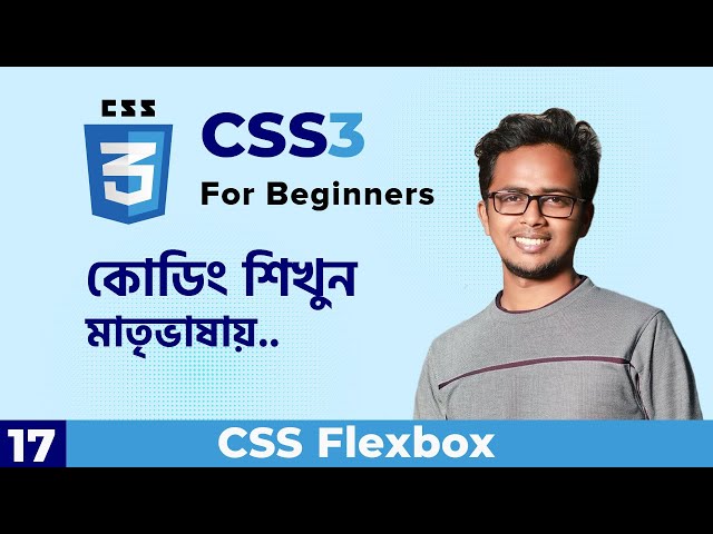 CSS Flexbox | CSS3 For Beginners