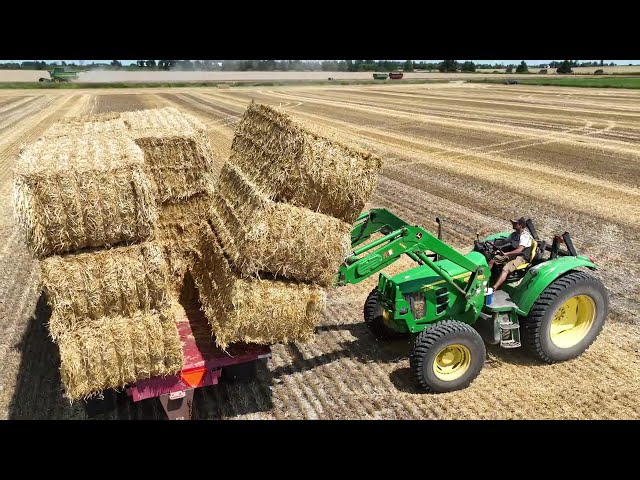 CANADIAN FARMER - STRAW - From the land and back again. The HARVEST-the USAGE- the RE-CYCLE.