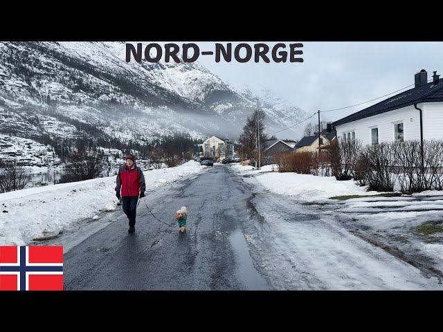 This Hidden Norwegian Town Feels Like Heaven on Earth! 🇳🇴✨ | Walking Tour in Mosjøen 4K