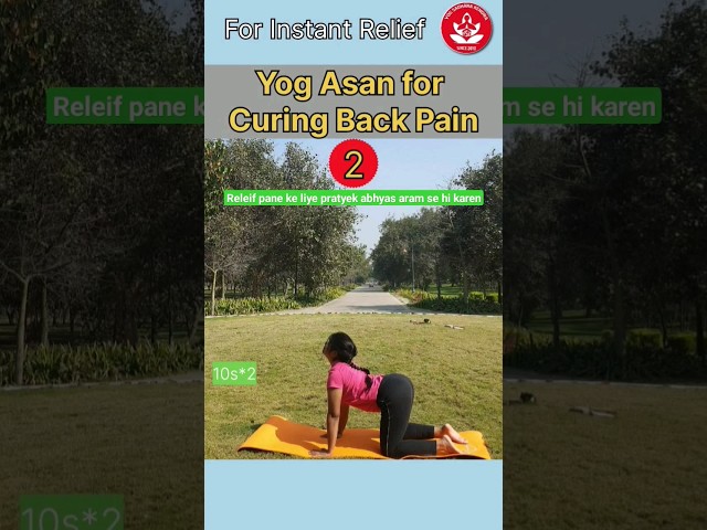 Yoga for Instant relief from Back pain  @yogsadhanakendra #shorts