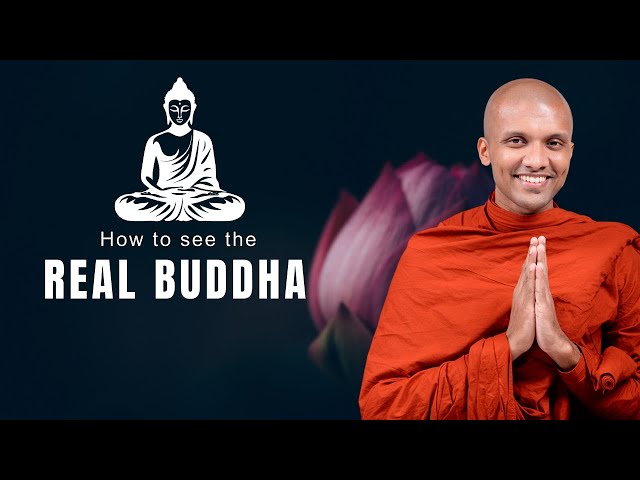 DO THIS, and you will see the REAL BUDDHA | Buddhism in English #lifeanddharma