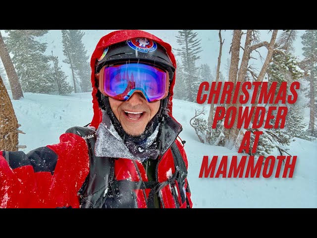 Christmas Eve 2024 powder tree skiing at Mammoth Mountain