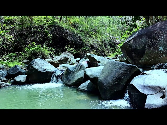 Flowing river water and bird sounds ASMR: nature’s soothing therapy for better sleep