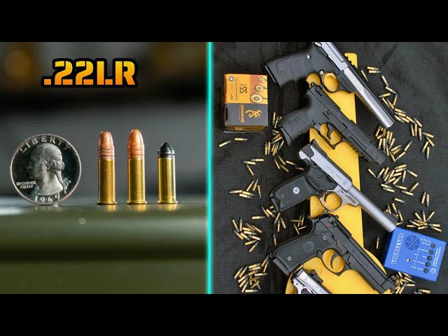 El Calibre 22LR ¿Sirve para DEFENDERSE?