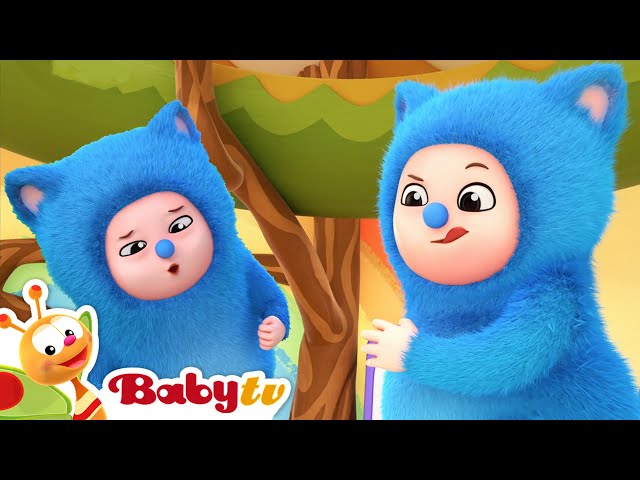 Sígueme 💗💙 | Billy Bam Bam | Canciones Infantiles y Rimas 🎵 @BabyTVSP