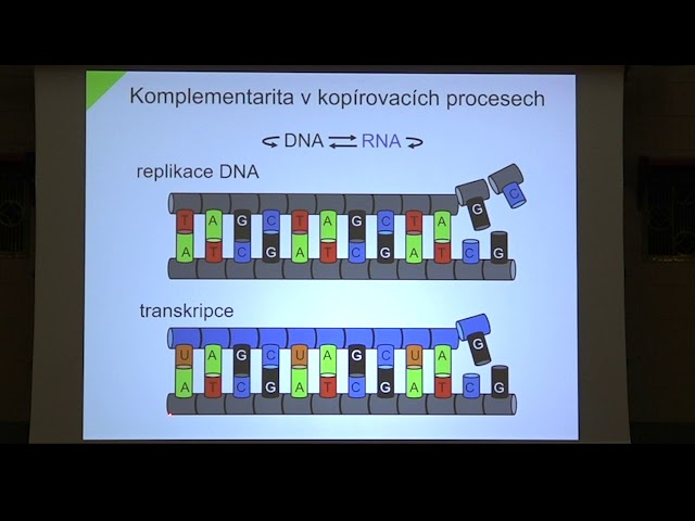 Záznam veřejné diskuze na téma editace lidského genomu