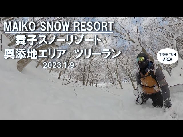 【TREE RUN】舞子スノーリゾート2023.1.9ツリーランエリア【GoProMAX】