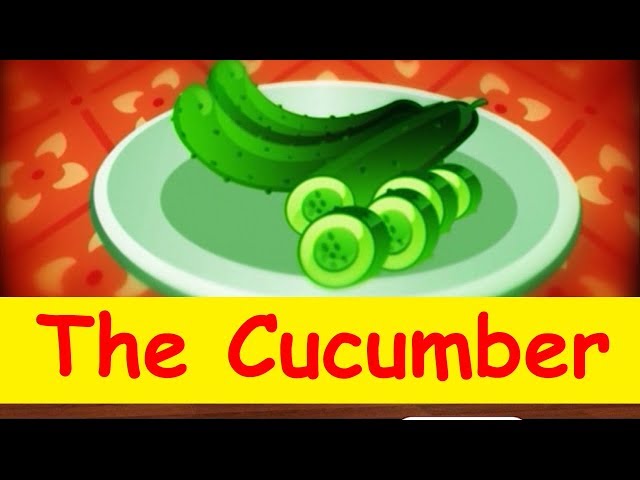 The Cucumber - Toyor Baby Eglish