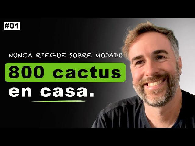 Cómo CUIDAR CACTUS con Tara Desert (todo lo que tienes que saber)