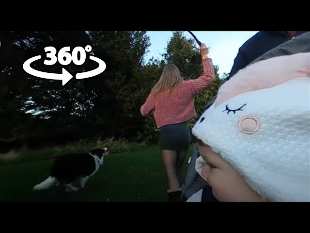 360 VR - A Nice Evening Walk with Our Dog Sam