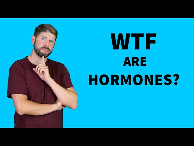 What are Hormones and how do they work? | Hormone Tests Explained