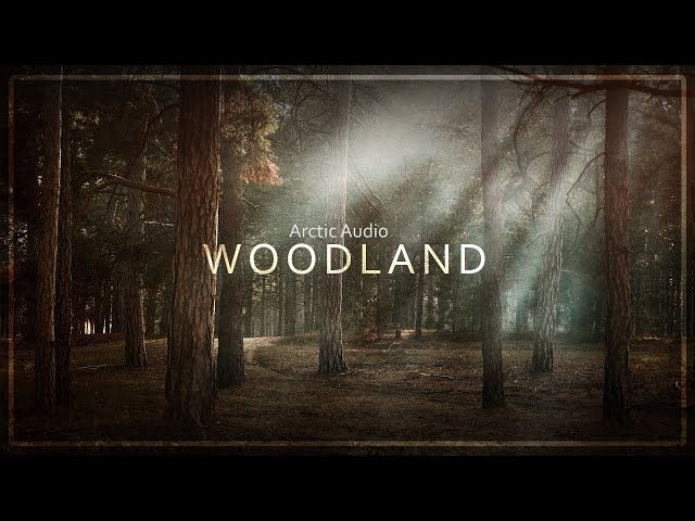 Woodland - Relaxing Music with Woodland Ambience, Bird Tweets, Wind, Forest - Arctic Audio