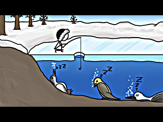 Birds that Hibernate in Lakes?!