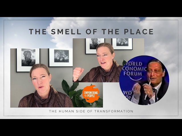 The smell of the place - ENGLISH VERSION