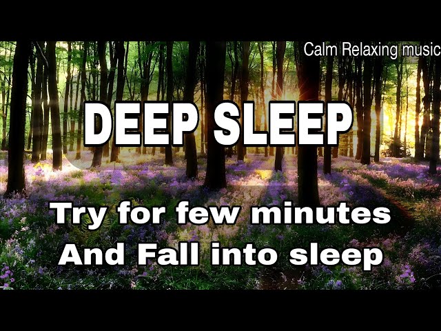 [Try listening Few minutes]And Fall into Deep sleep.🍀 Relax your mind.