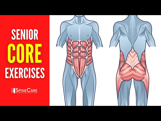 Best Core Strengthening Exercises for Seniors