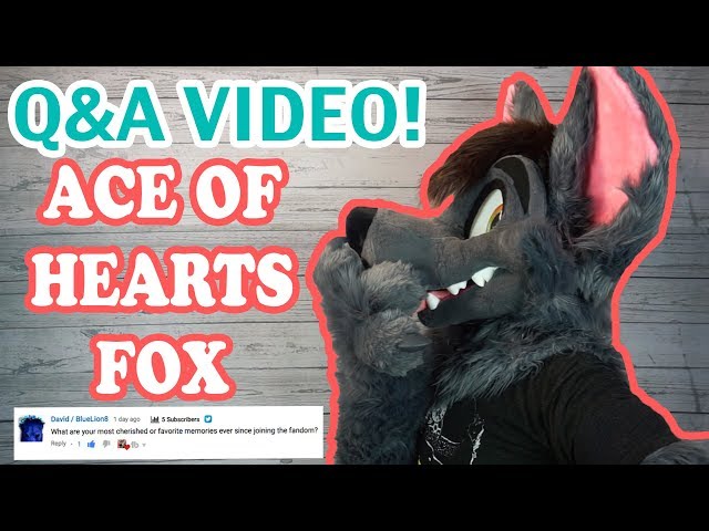 Ace's First Q&A Video!