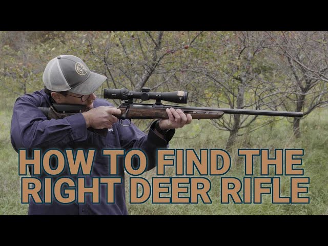 How to Fit a Great Deer Hunting Rifle for a Beginner