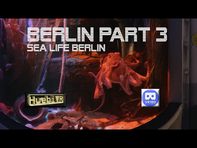 Berlin#3 Sea Life 8K VR180