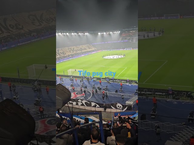 Tifo psg city