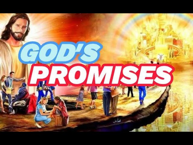 GOD'S PROMISES 🙌🙏✝ #Godspromises #biblepromises #trustGod #BelieveInGod #Prayer #viral #shorts