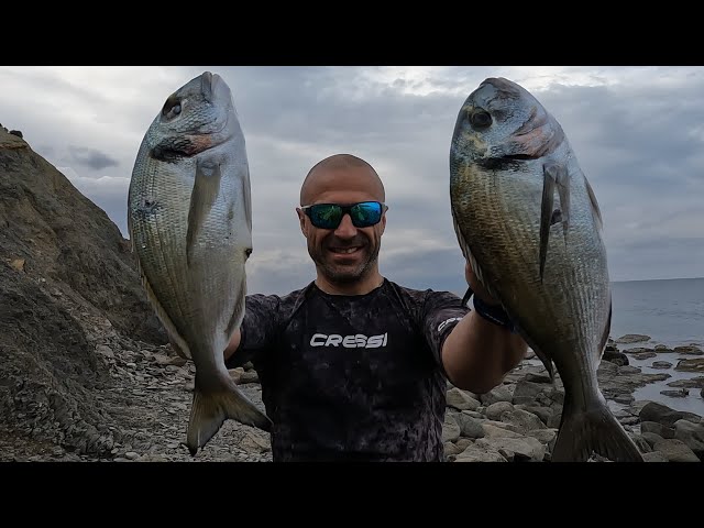 Buz Gibi Havada zıpkınla balık avı Muhteşem Çipuralar 🐟  Şahane sofra 👌pancar mezesi🥗