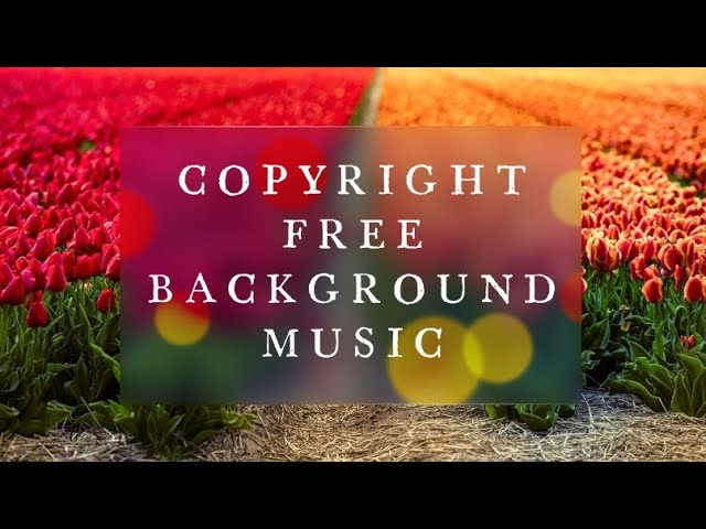 Copyright Free Background Music with Birds humming, Sash Music