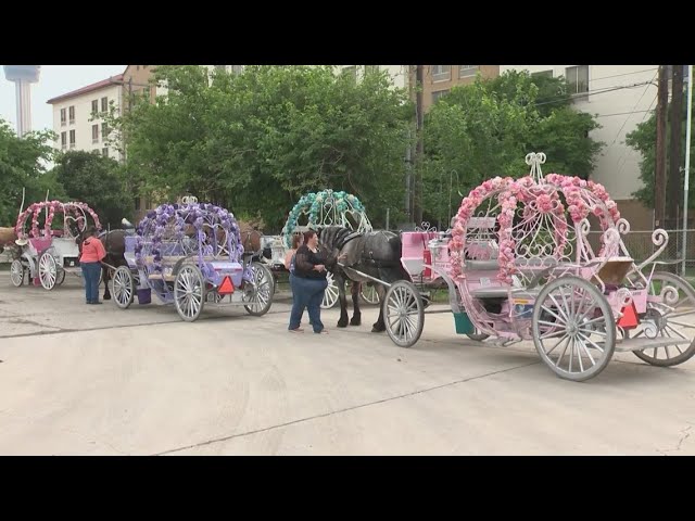 SA City Council approves plan to phase out horse-drawn carriages from downtown San Antonio