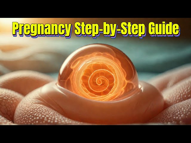 The Journey of Pregnancy Step by Step Guide to Fetal Development