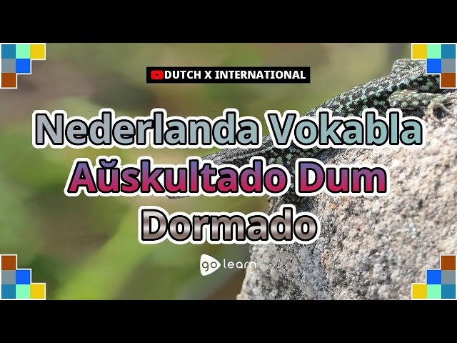 Nederlanda Vokabla Aŭskultado Dum Dormado | Golearn