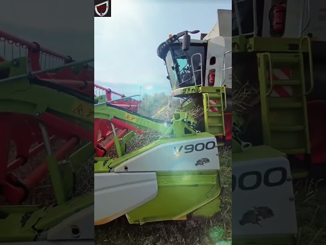 12 Modern Agricultural Machines That Take Productivity to the Next Level #shorts #ModernFarming