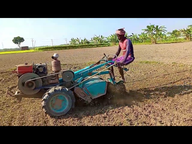 Power Tiller Cultivate Village Land 34   Best Farming Video In Bangladesh