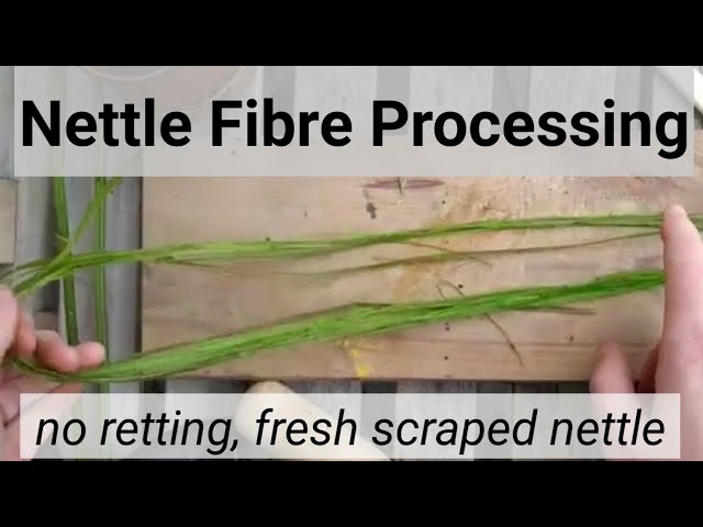 Nettle Fibre Processing