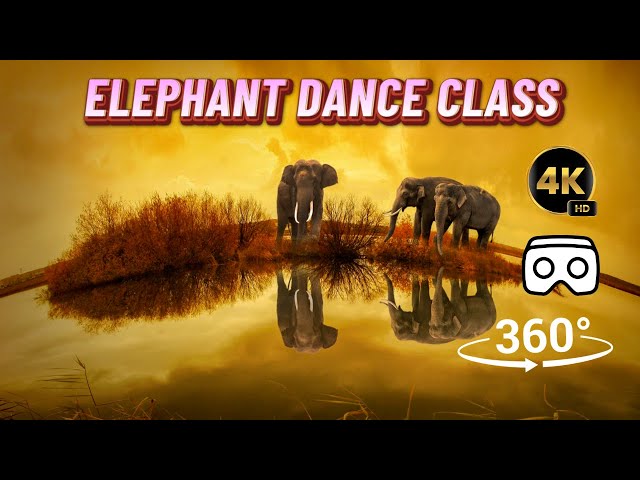 Adorable Elephant Calf Learns to Dance from Mom (360° Experience) 4k #travel  #zoo #360video