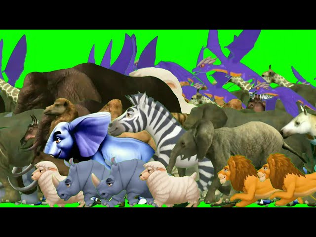 Wildlife crossing animated video | cartoon running green screen | jungle animal green screen