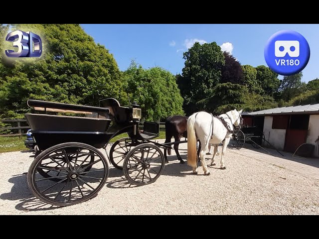 Ribeiro hippomobiles ( horse drawn )180 VR 3D