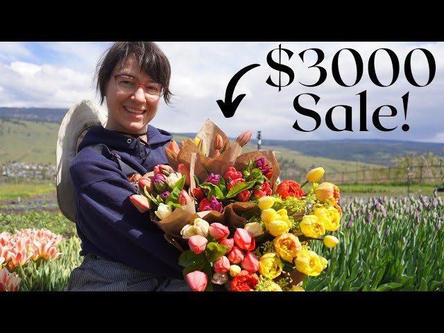 Massive Mothers Day Tulip Sales Transform This Farm?