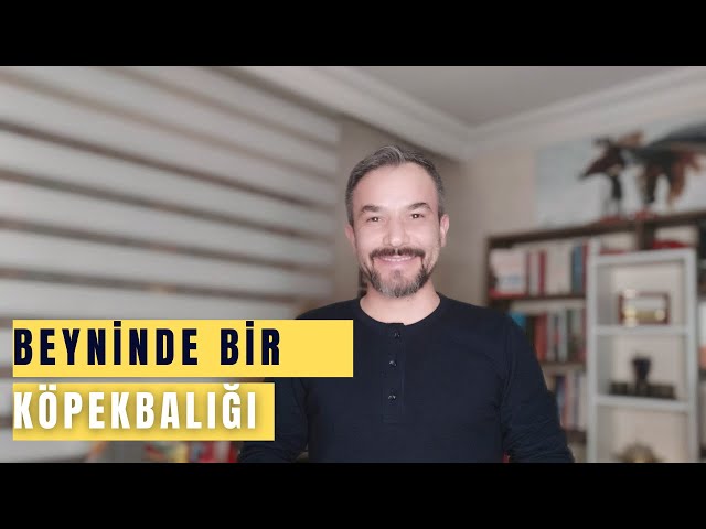 Hikâyelerle Hayatı Anlamak#1 Beyninde Bir Köpekbalığı