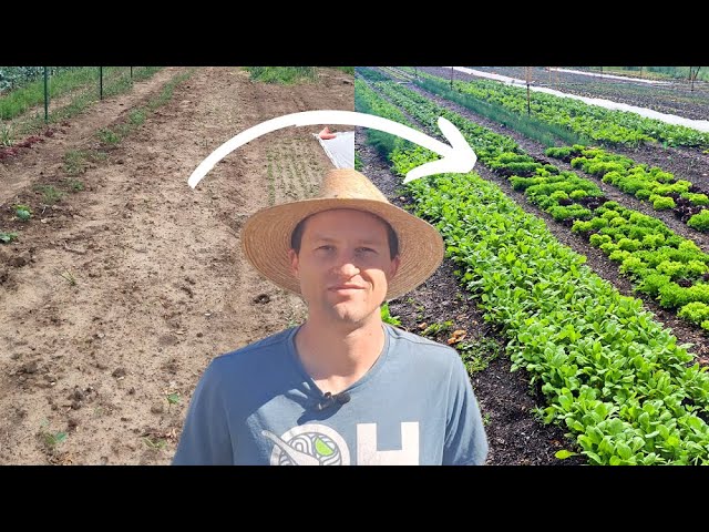 The fastest way to grow food with Zero experience