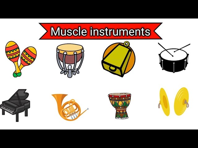 Musical instruments Vocabulary | 🔥 English word's with pictures