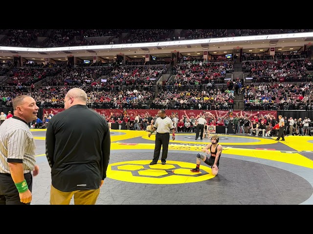 D1SF 113lbs Rylan Seacrist, Brecksville vs Ethan Timar, St Edward