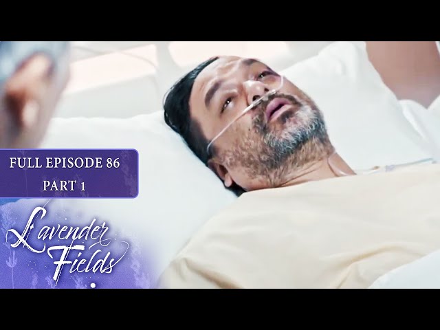 Episode 86 | Part 1 of 4 | Lavender Fields | Jodi Sta. Maria, Jericho Rosales