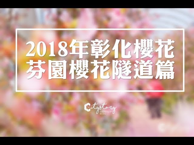 【彰化櫻花季】夢幻櫻花隧道。彰化芬園花卉生產休憩園(員農種苗)2018.2.20