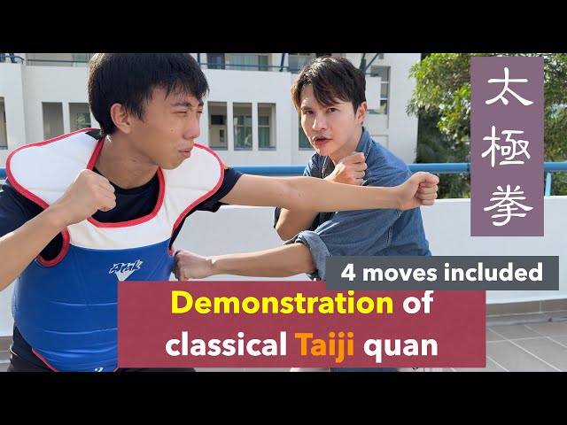 Demonstration of classic Taiji quan fighting 古典太極拳（八步螳螂門）概念示範