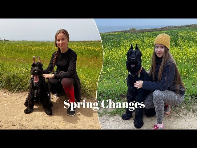 From Puppyhood to Adulthood | Ep.6 | Life with Giant Schnauzer